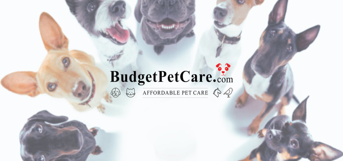 Budget Pet Care